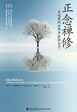 Cover of Mindfulness: A Practical Guide to Finding Peace in a Frantic World
